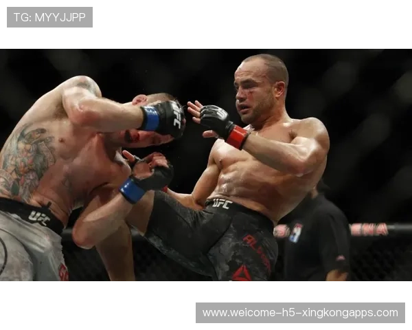 UFC选手技术组合与防守体系课：打造冠军战斗力的终极秘籍