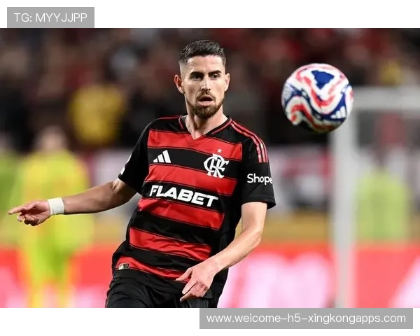 弗拉门戈瞄准全球市场，引领海外选材新时代