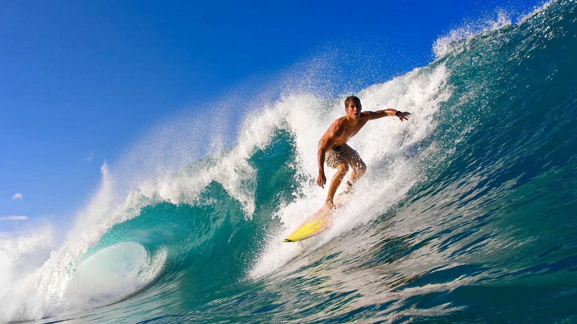 体育新闻中心拓展AI写作在赛事报道中的应用场景,优秀体育新闻报道文章